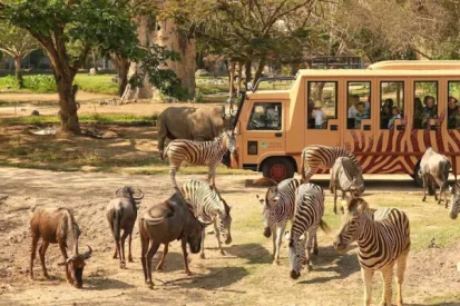 90d6b9afe0711675d607d56a1a6416a5-28758-bangkok-safari-world-marine-park-tickets-with-indian-lunch-optional-transfers-05-1