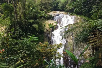 robinson-falls