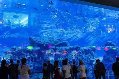 tours_dubai_aquarium_2 tours_dubai_aquarium_2