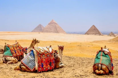 جولة في الأهرامات جولة في الأهرامات