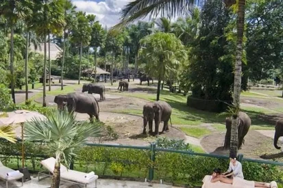 lombok-elephant-park-4073