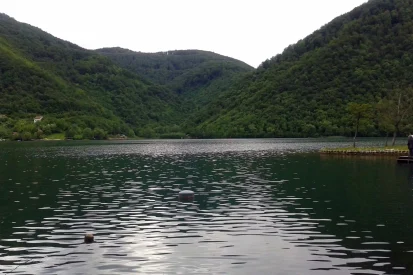 بحيرة بليتفيتش