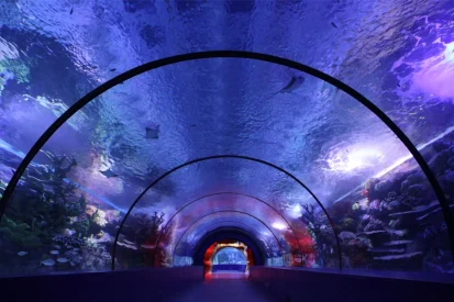 aquarium-tunel2
