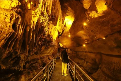 thumbs_b_c_1a000999223963bb3576eaa4ec27a54a