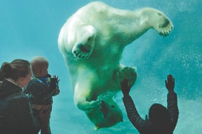 حديقة حيوانات روتردام