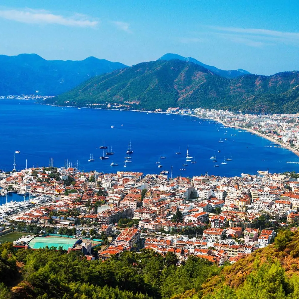 اليوم الرابع