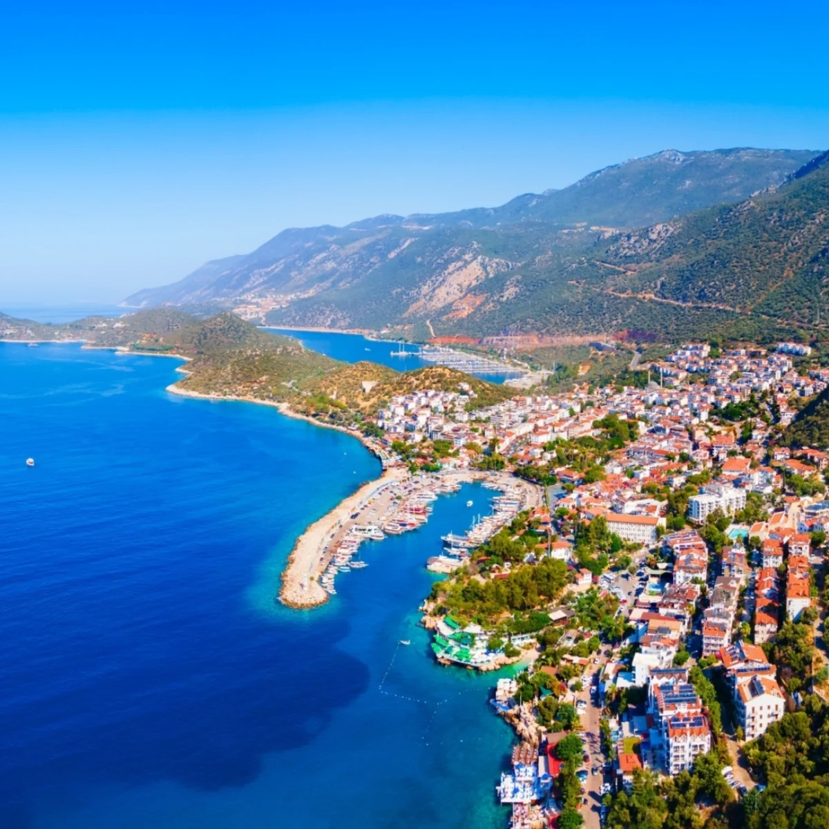 اليوم الخامس