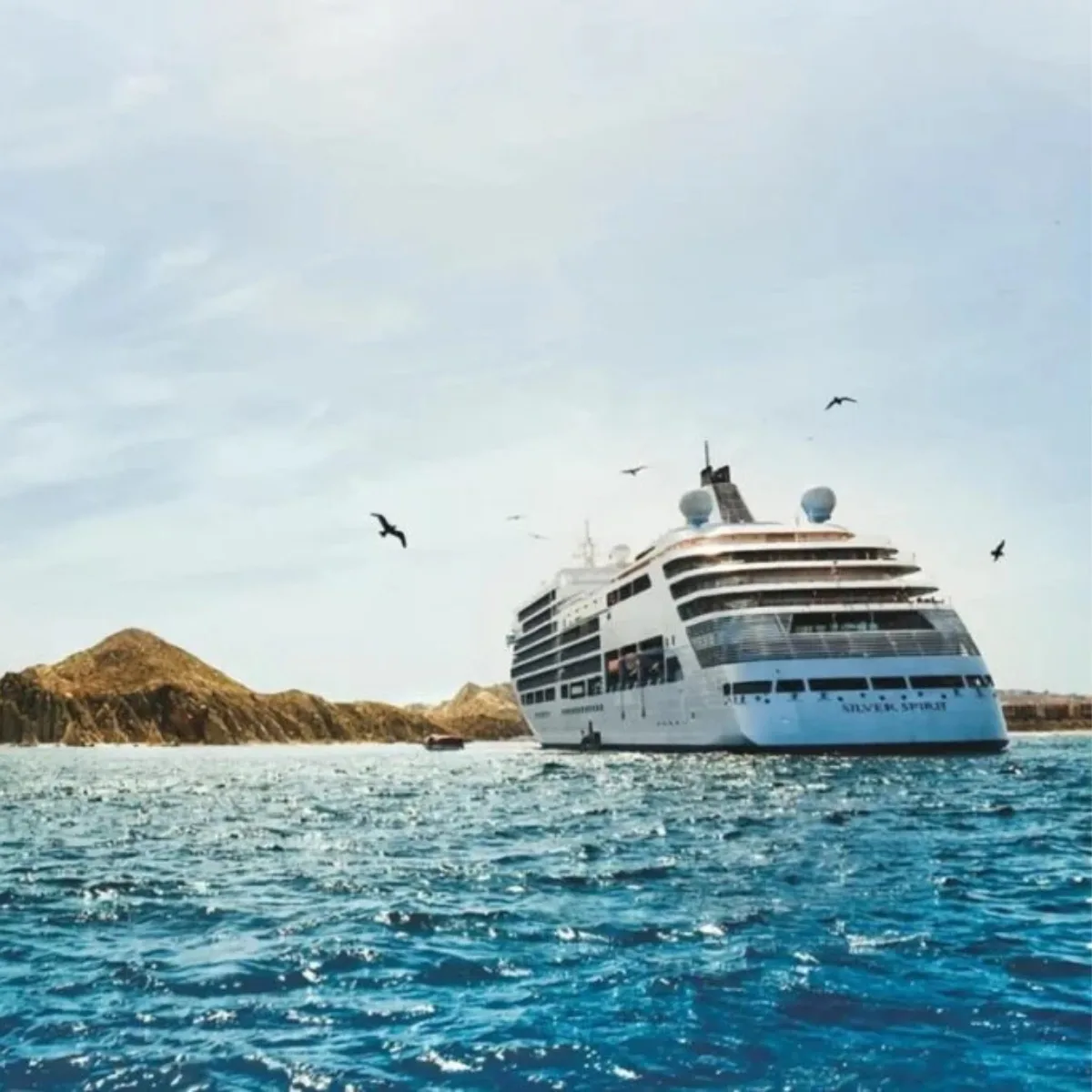 اليوم السابع