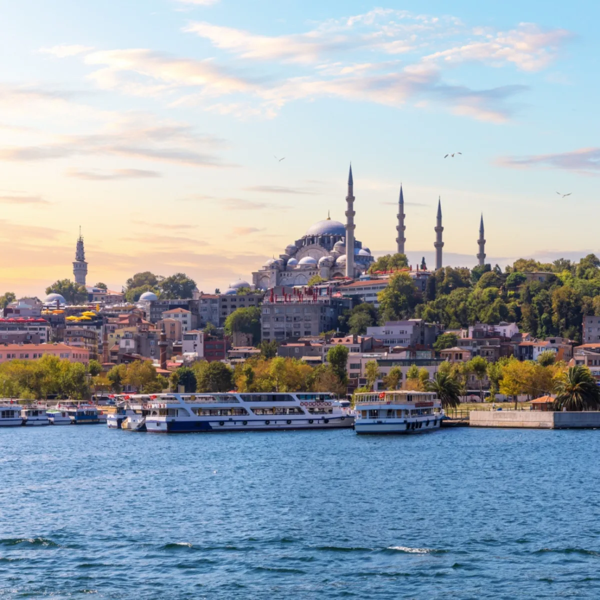 اليوم الثامن