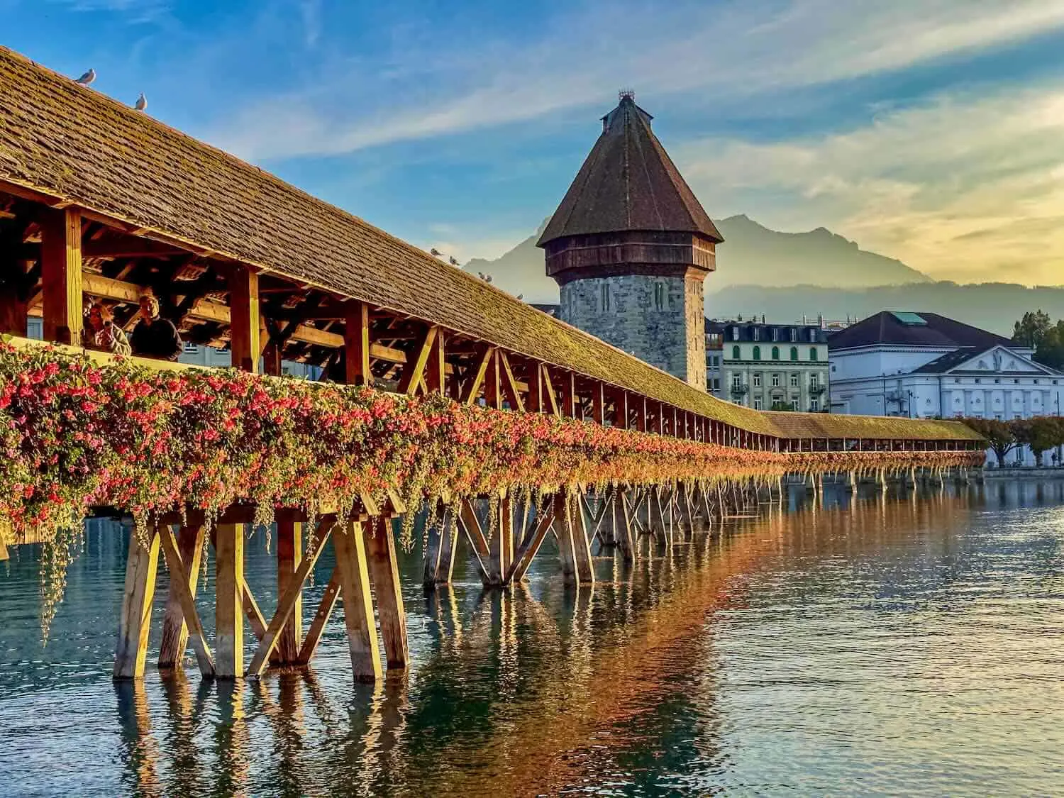 اليوم السابع : زيورخ - لوسيرن - زيورخ